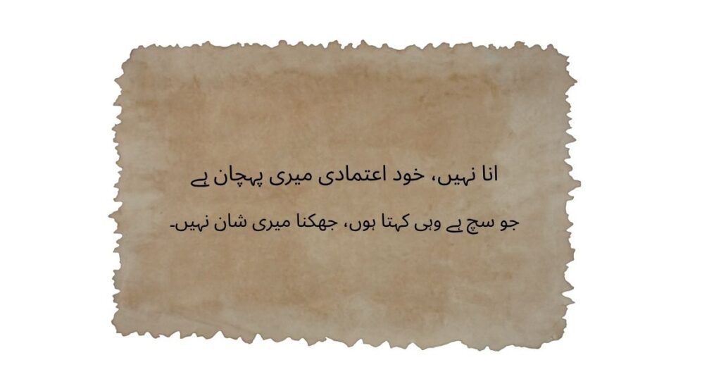 Ego Shayari (Power & Pride)
